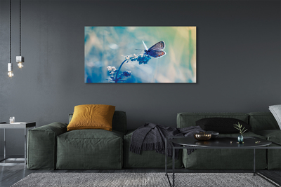 Obraz na plátne farebný motýľ