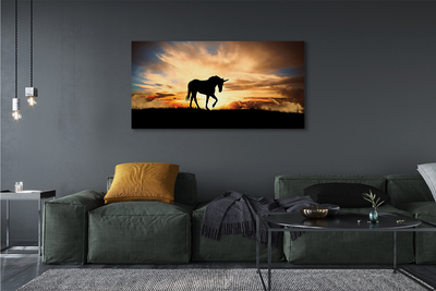 Obraz na plátne Unicorn sunset