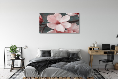 Obraz canvas ružové kvety