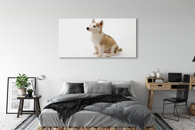 Obraz na plátne Sediaci malého psa