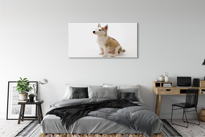 Obraz na plátne Sediaci malého psa