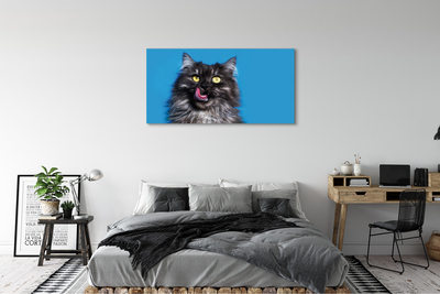 Obraz na plátne Oblizujący mačka