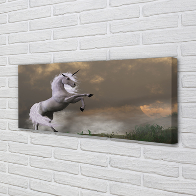 Obraz na plátne Unicorn top