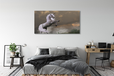 Obraz na plátne Unicorn top