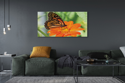 Obraz na plátne Kvet farebný motýľ