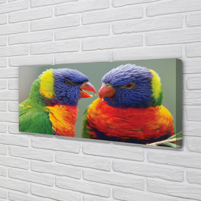 Obraz na plátne farebný papagáj
