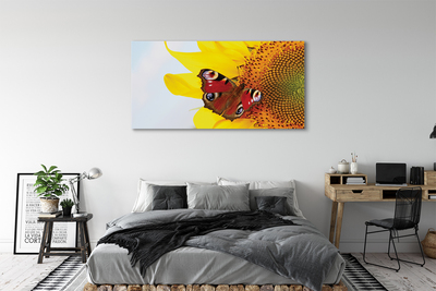 Obraz na plátne slnečnica motýľ