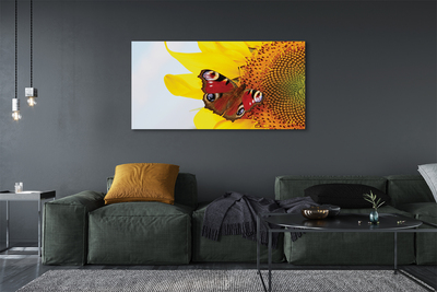 Obraz na plátne slnečnica motýľ