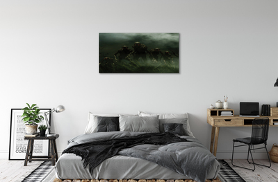 Obraz canvas zombie mraky