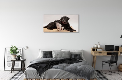 Obraz na plátne ležiace psi