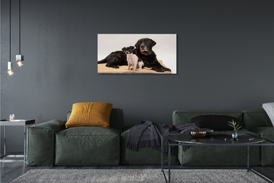 Obraz na plátne ležiace psi