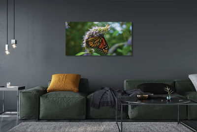 Obraz na plátne Kvet farebný motýľ