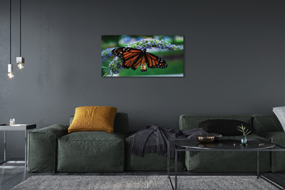 Obraz na plátne Motýľ na kvetine