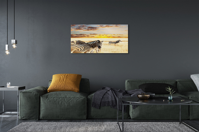 Obraz na plátne Zebry poľa sunset