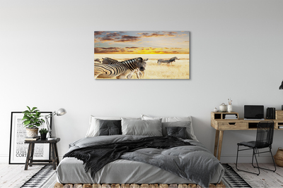 Obraz na plátne Zebry poľa sunset