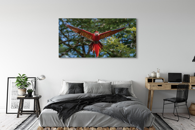 Obraz na plátne ara papagáj