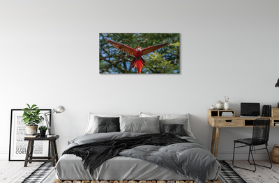 Obraz na plátne ara papagáj