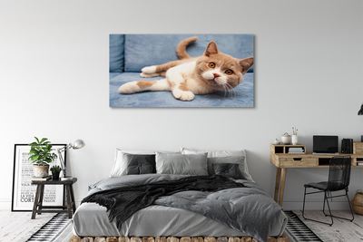 Obraz na plátne ležiace mačka