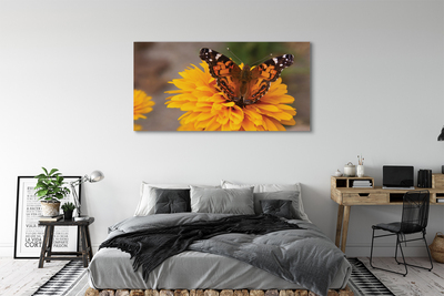 Obraz na plátne Farebný motýľ kvetina