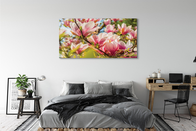 Obraz canvas ružová magnólia