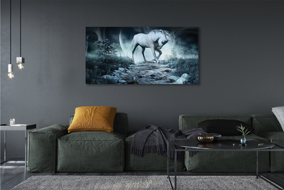 Obraz na plátne Forest Unicorn moon