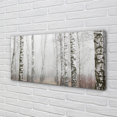 Obraz canvas hmla breza