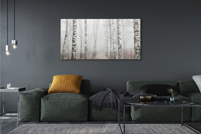 Obraz canvas hmla breza