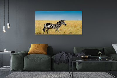 Obraz na plátne Zebra box