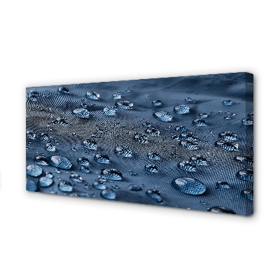 Obraz canvas Vodné kvapky makro