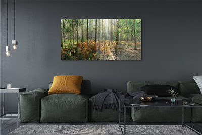 Obraz canvas les breza