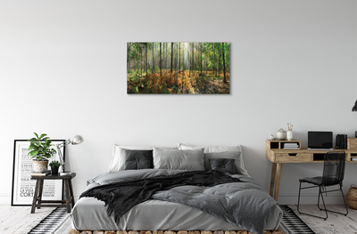 Obraz canvas les breza