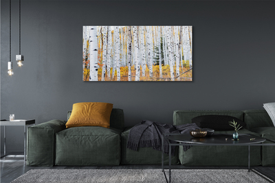 Obraz canvas jesene breza
