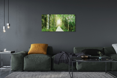 Obraz canvas Breza lesná cesta