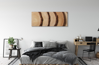 Obraz canvas plátky obilia dreva