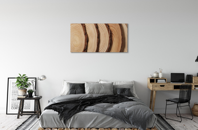 Obraz canvas plátky obilia dreva