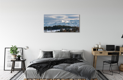 Obraz canvas horské zimné