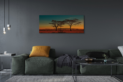 Obraz canvas oblohy stromu