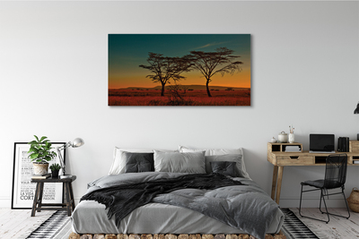 Obraz canvas oblohy stromu