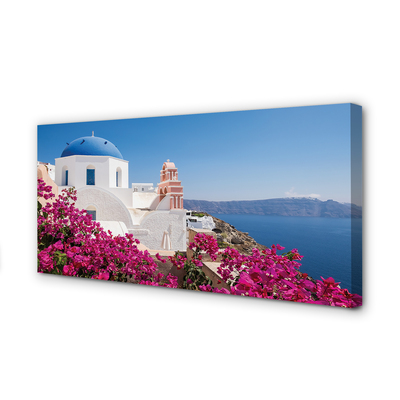 Obraz na plátne Grécko kvety morské stavby