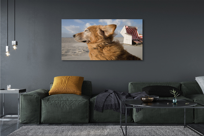 Obraz na plátne Hnedý pes beach