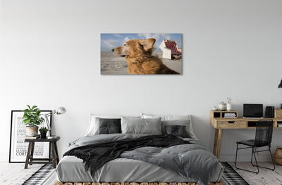 Obraz na plátne Hnedý pes beach