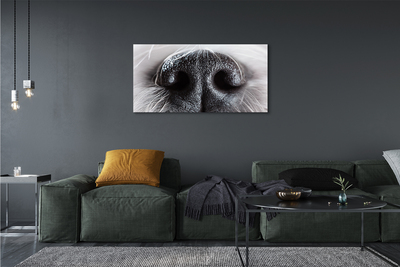Obraz na plátne psie ňufák