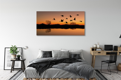Obraz na plátne Lietajúce vtáky sunset
