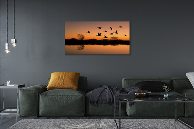 Obraz na plátne Lietajúce vtáky sunset
