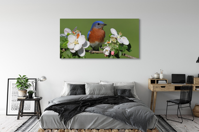 Obraz na plátne Kvety farebné papagáj