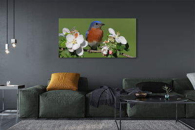 Obraz na plátne Kvety farebné papagáj