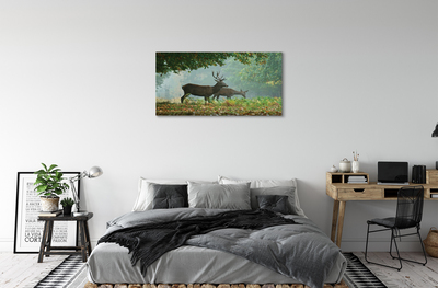 Obraz na plátne Jeleňa na jeseň les