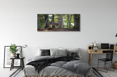 Obraz na plátne jeleň lesný