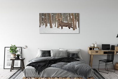 Obraz na plátne Jeleň zimné les