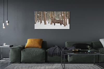Obraz na plátne Jeleň zimné les